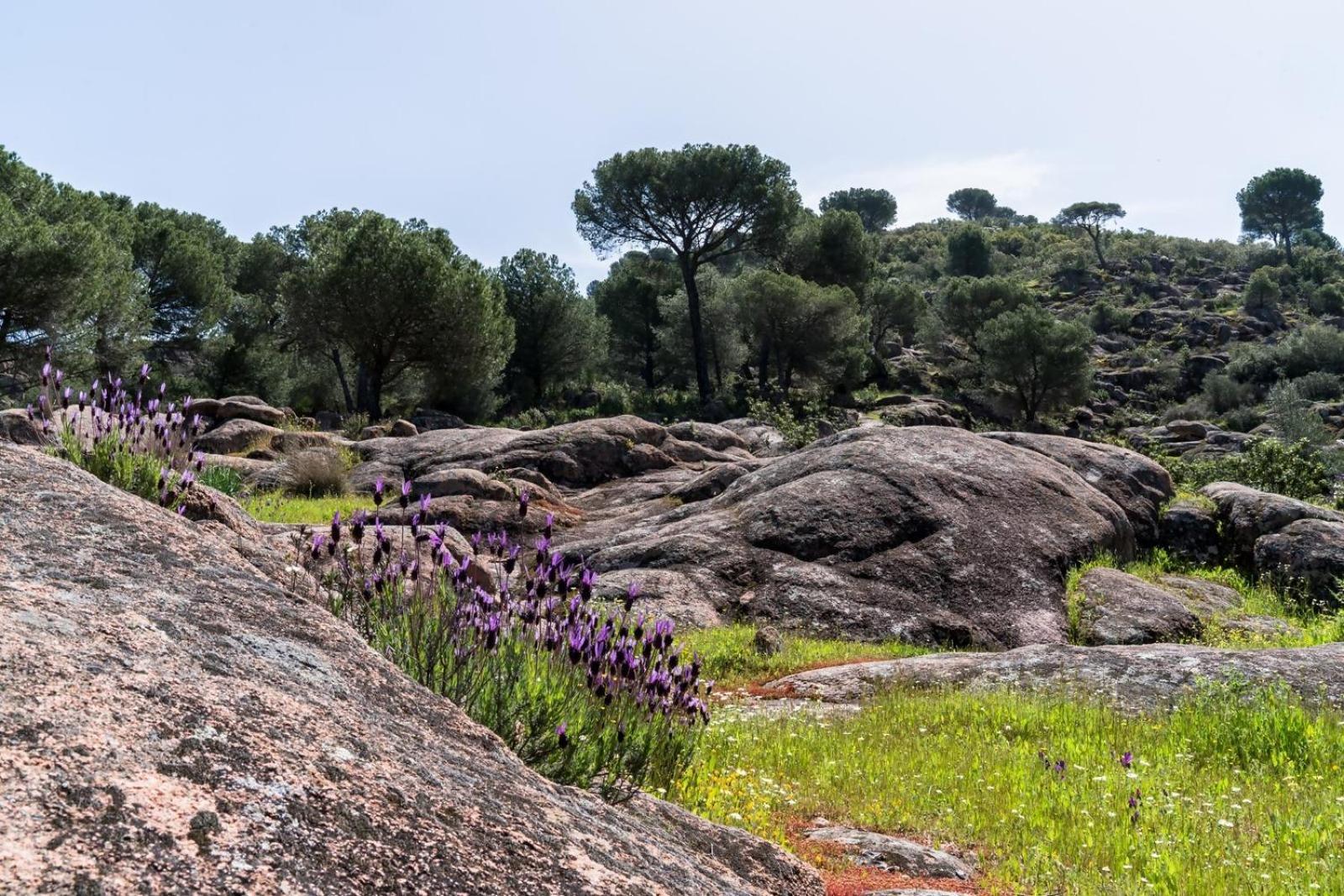 Casa El Paraiso Del Lago Alojamiento Rural قرطبة المظهر الخارجي الصورة